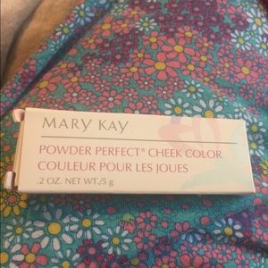 Mary Kay Winter Rose cheek color